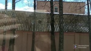 Влог:Решаю вопросы по квартире/ Первый день в Беларуси не дает расслабиться