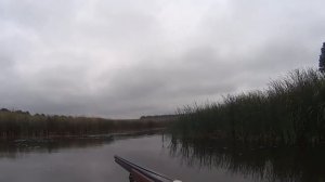 Охота на уток с лодки осенью на подъем, ТОЗ-34