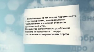 Где посадить калину. Несколько советов