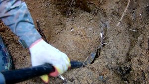 Нашли не копанную высоту на Синявинских высотах. / found not dug height.