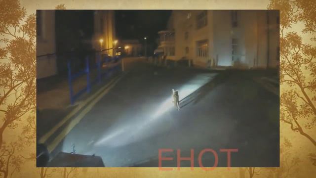 ЭТО ВИДЕО ЗАСТАВИТ ВАС ПЛАКАТЬ | ХОРОШИЕ ПОСТУПКИ ЛЮДЕЙ | ЛЮДИ СПАСАЮТ ЖИВОТНЫХ # 14 смотреть онлайн