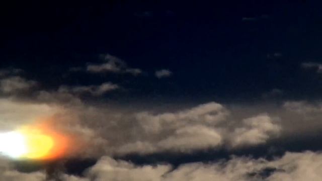 необычное явление в лесу Калининградской области смотреть онлайн