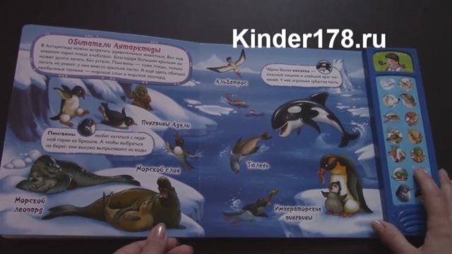 Детская музыкальная книга "Арктика и Антарктида" Вокруг света Азбукварик. Видео-обзор смотреть онлайн