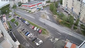 Медведь в Северодвинске (Ломоносова-Трухинова) 2022-06-04
