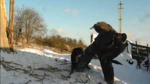 Охрана дома - Работает Бернский зенненхунд !!!