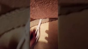 Урок плетения из три шнурков на два типа.