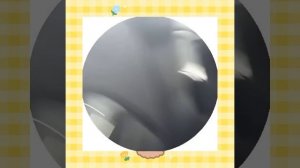 VLOG первый день каникул (видео в кружочках) ?