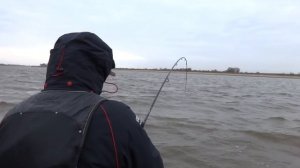 Толстолобик на Нижней Волге река Енотаевка 29 кг.