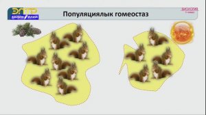 11-класс | Биология | Популяция жана анын структурасы, динамикасы