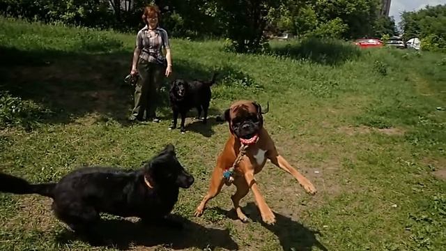 Пусть летят они , летят.