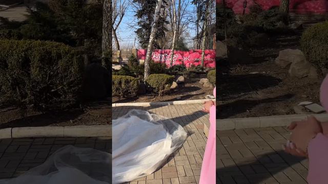 в Донецке ромале,  сыграли свадьбу со свастикой и номерными знаками "дыныры"
