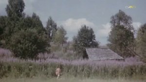 Владимир Нечаев - Вьется в даль тропа лесная