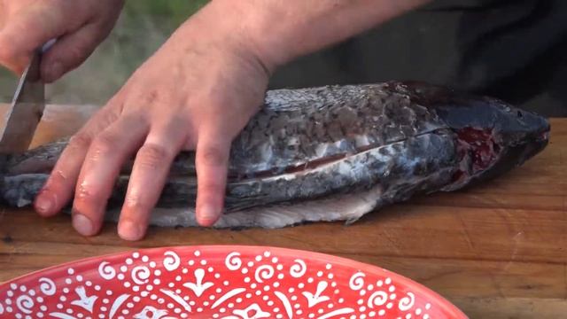 Карп это необыкновенно вкусная рыба смотреть онлайн