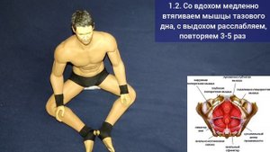 Мышцы вокруг крестца и копчика дают жизнь позвоночнику и мозгу. Методы укрепления