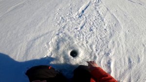 Ловля КРУПНОГО окуня на балансир и чертика зимой / зимняя рыбалка 2021