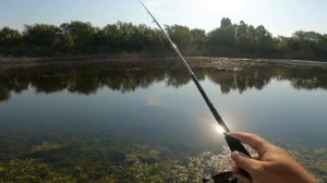 Ловля осенней щуки на заросших водоемах. Мои рабочие поверхостные приманки на щуку🔝