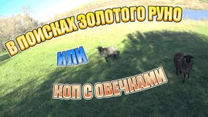 В поиске золотого руно!!! Или, с металлоискателем, с овцами).