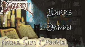 TES книги - Дикие эльфы (Daggerfall) #shorts