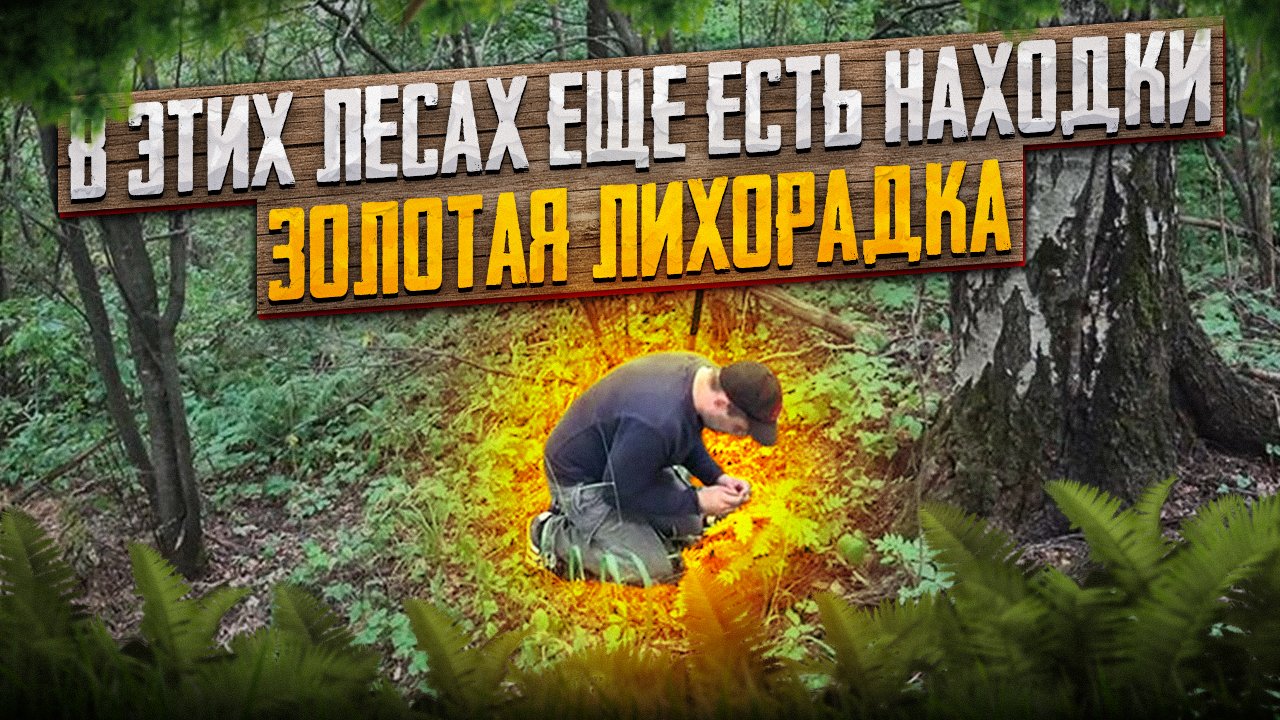 В этих лесах еще есть находки.