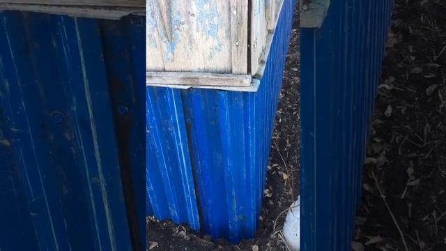 Ремонт старого дома своими руками часть 2 #стройка #строитель #своимируками #самсебестроитель смотреть онлайн