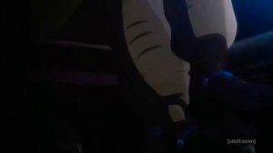 Жожо сортир крусайдерс