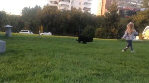 Ньюфаундленд Бонни и дети