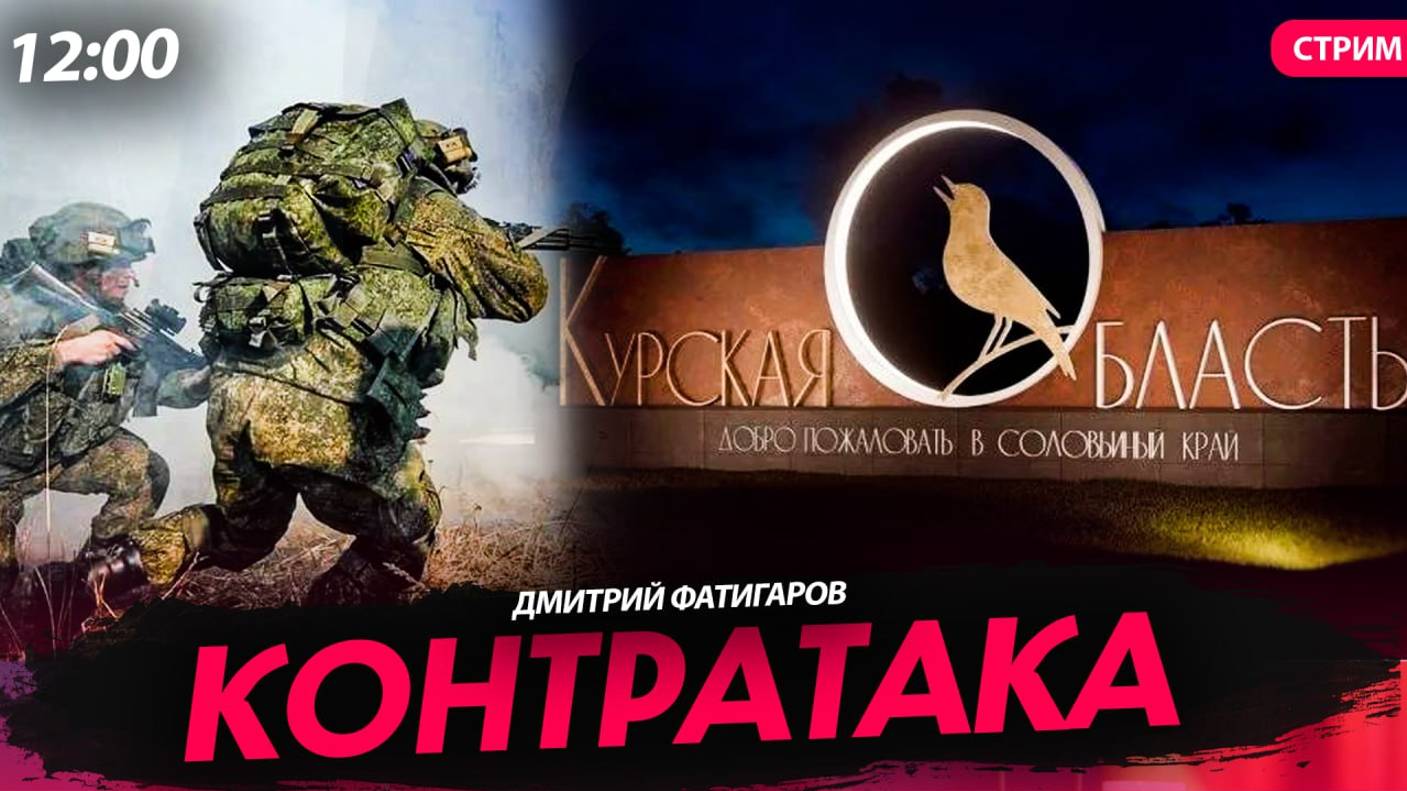 Контратака [Дмитрий Фатигаров. СТРИМ]