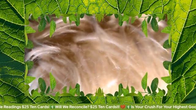 Free Oracle & Tarot Teaching & Collective Reading (Donations Get Preference) смотреть онлайн