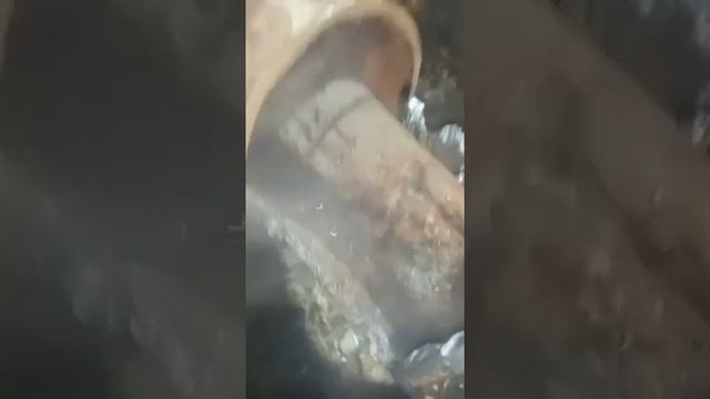 вот что можно найти в наших трубах ))).