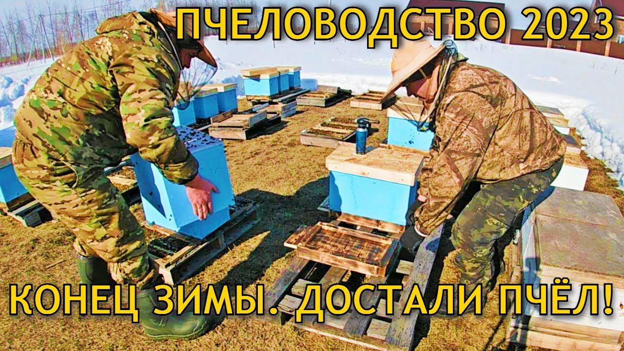 Выносим пчёл из зимовника. Начинаем пчеловодство сезон 2023 смотреть онлайн