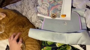 Вышивальная неделя: новогодний старт, подготовка к СП, классная книга и осенний уют!