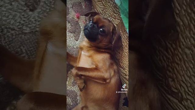Знакомьтесь, 60 тыс. отдали?