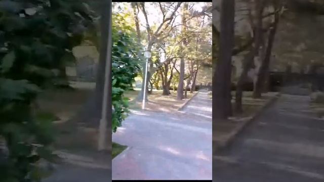 Наш отдых в селе Дивноморское (Геленджик). Пансионат "Приморский"