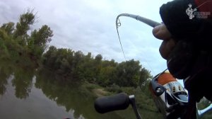 Щука лесного озера или ловля хищника в Волго-Ахтубинской пойме