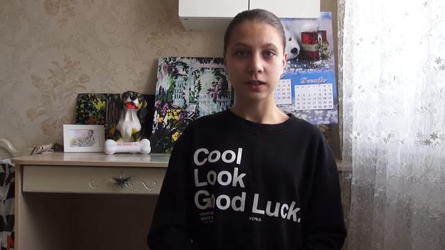 как ухаживать за шерстью лабрадора? смотреть онлайн