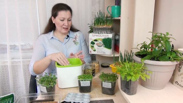 5 ДНЕЙ! Как быстро вырастить микрозелень в домашних условиях без земли и без фитолампы. смотреть онлайн