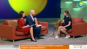 Венгерская выжла   собака с идеальным характером