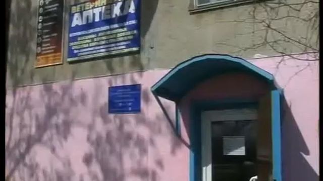 Стерилизация бродячих животных смотреть онлайн