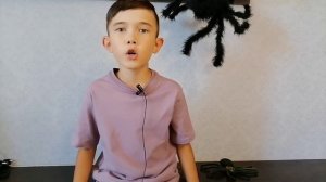 Что такое Арахнология? #паук #какпаукплететпаутину