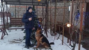 Как приучить щенка к кличке. | Как научить собаку смотреть в глаза по кличке. | Зрительный контакт