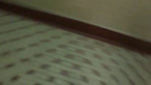 Электрический лифт V=0,71 м-с, грузоподъемность 400 кг (1924)