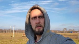 Будни на ферме: Ограда быкам, лошади, коровы.