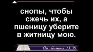 кгю. Конец веков. "Свяжите их в связки..."