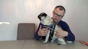 Что это, клещ?! Или ПРИБОР для собак от клещей?! Мопс.