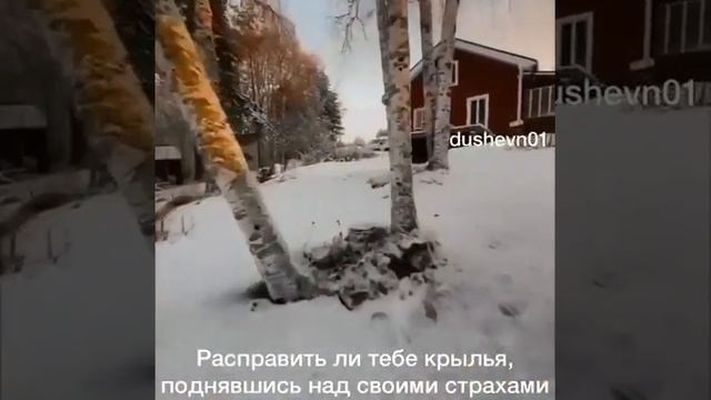 В каждом из нас живёт два существа: птица и крот  dushevn01