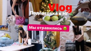 ПОДГОТОВКА К НГ НА 39 НЕДЕЛЕ//УБОРКА//БЕССОНИЦА//ВЛОГ 29.12.2023