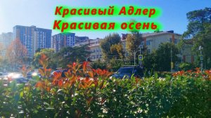 Красивый Адлер и красивая осень