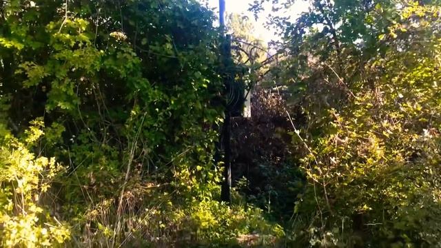 УЧАСТОК за 2 МЛН в г ЯЛТА , п. Голубой Залив / ИЖС / смотреть онлайн