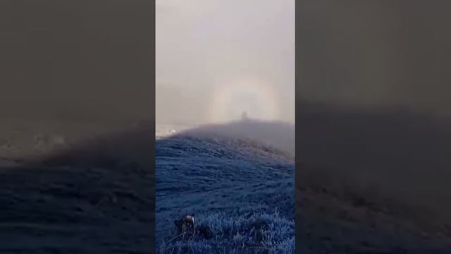 🙏ЯВЛЕНИЕ ПРЕСВЯТОЙ БОГОРОДИЦЫ. Святая гора Афон.