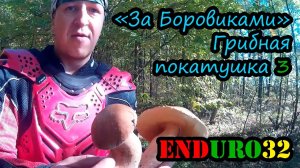 Грибная покатушка. За Боровиками | Enduro motorcycling. Gathering mushrooms Boroviki